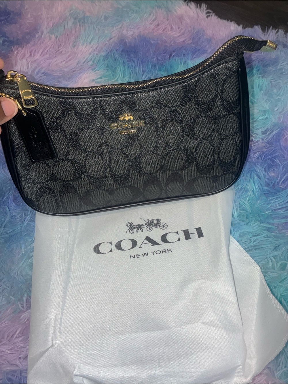 Black Monogram Shoulder Bag | Gold Hardware | Zip Top | Classic Mini Purse